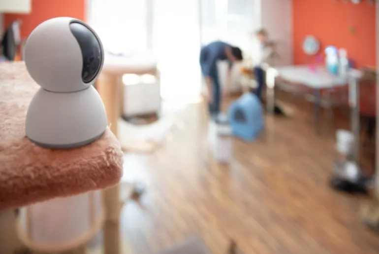 Bebek Bakıcı Kamera